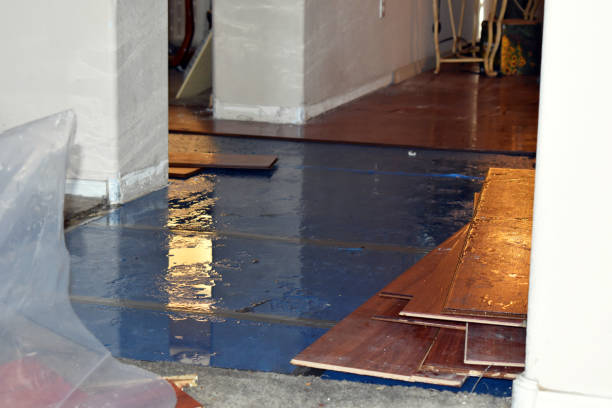 Professional Burst Pipe Cleanup technician working in North Andover, MA